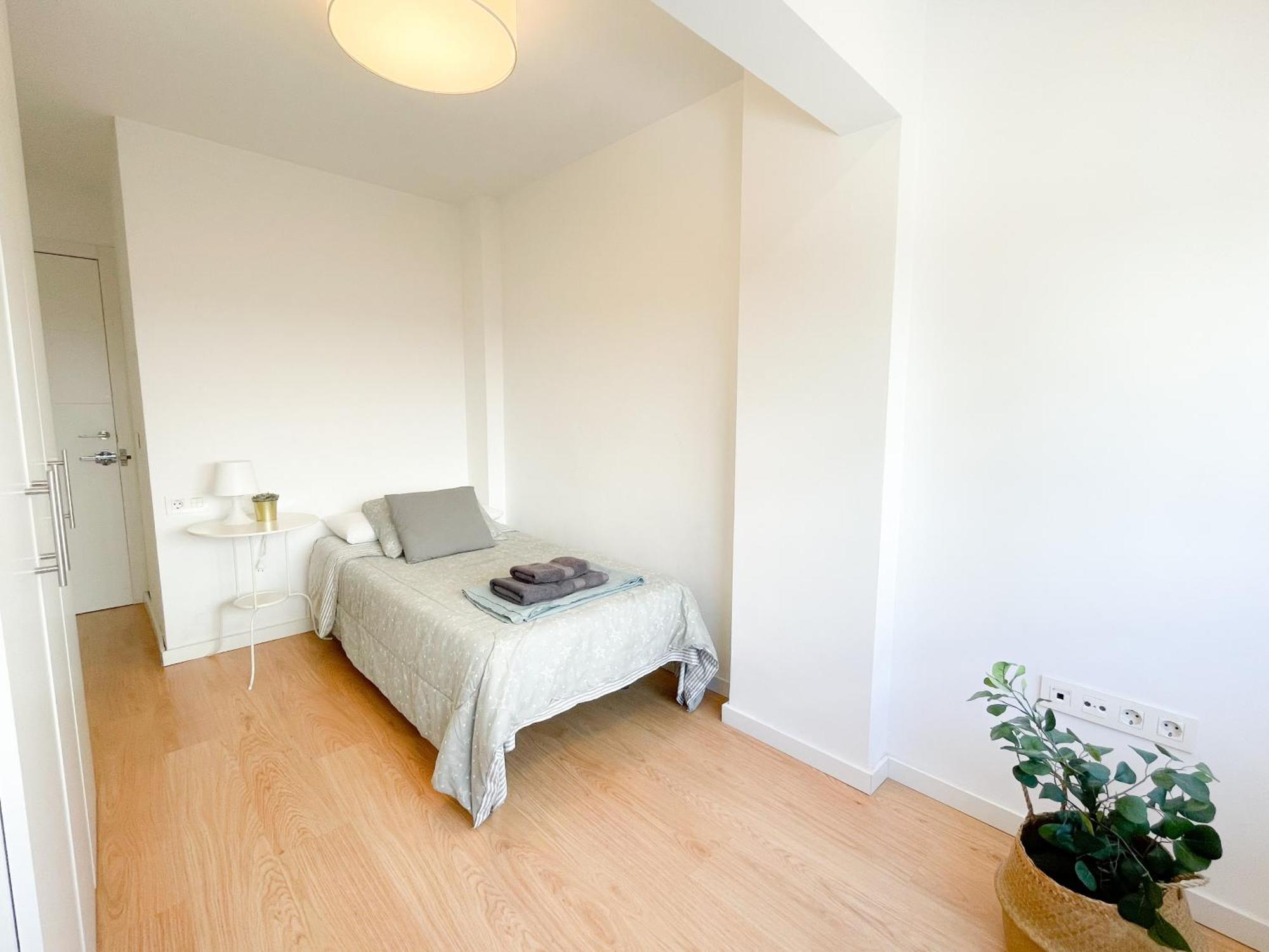 Moderno Apartamento Plz De La Merced Malaga Zewnętrze zdjęcie